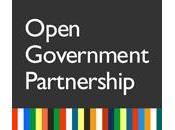 What Role Private Sector Open Government?