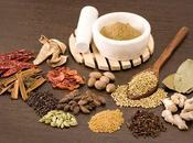Herbal Remedies Diabetes