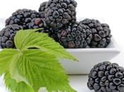 Health Benefits Black Raspberry