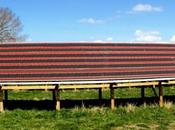 Danish Project Make Polymer Solar Cells More Profitable