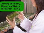 Learning Chemistry, Physics Math Garden Part