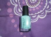 Review: POSHINALITY Nail Polish Hipster