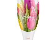 More Than Bottle Wine…