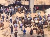 Federal Over-reach Part Bundy Ranch Commentary