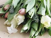 Sunday Bouquet: Tulips Kraft Paper