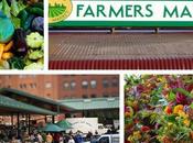 First Sign Spring: Farmers Markets Openers!