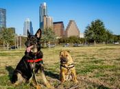 Austin Texas Became Friendly Destination Burkert