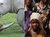 Nigerian Kidnappings: Link Poaching