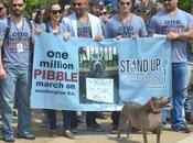 Million pIbble March