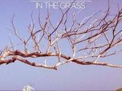 Vacationer Grass"