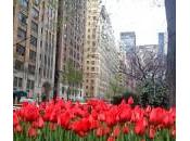 Spring Manhattan