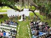 Jilian Aron Gorgeous Outdoor Wedding