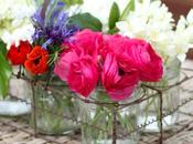 Vase Monday Pink Ranunculus!