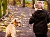 Learn Young Children Pets Respond Stressful Situations