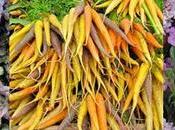 Santa Monica Farmers Market