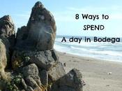 Ways Spend Bodega Bay!