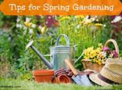 Tips Spring Gardening