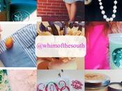 {Whim South Mini Moments}