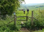 Leading Through Lansdown