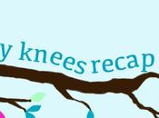 Shaky Knees Music Festival 2014 Recap