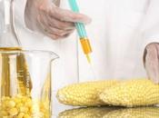 Risk Benefits Nano Foods