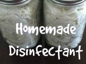 Homemade Disinfectant Wipes