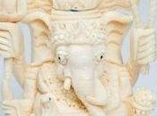 Endangered Wildlife Black Market Thriving Online with Illegal Listings eBay, Gumtree