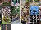 Determining Versatility English Through Funny Poem