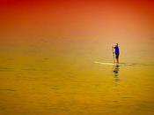 Veritable Cornucopia Images!!