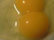 Lesson Double Yolked Eggs Other Oddities