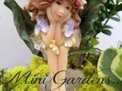 Mini Gardens, More Than Just Fairies