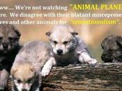 Ewwwww, We’re Watching “Animal Planet” Anymore