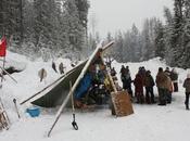 Activist Gets Days Perry Ridge Logging Road Blockade