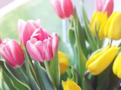 Lifestyle Moving House Do's Don'ts