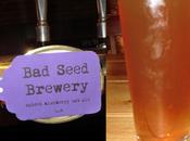 Tasting Notes: Seed Brewing: Spiced Blueberry