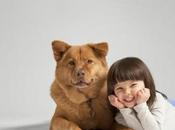 Introducing First Pets