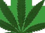 U.S. House Votes Protect Medical Marijuana