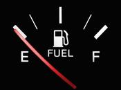 Think Can’t Afford Natural Vehicles Your Fleet?