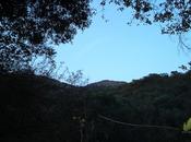 Instant Life Captured Eternity