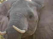 “This Legislation That Help Create Better World” Letter From President Founder