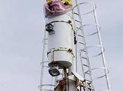 Tourist Chains Himself Icelandic Whaling Ship