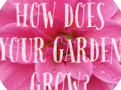 {How Does Your Garden Grow}