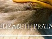 Political Memoir Title Generator