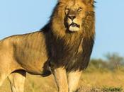 Read This List Hunting Supporters…….and Then Share!