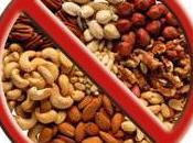 Healthy Travel Snacks Free Edition