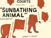 Parquet Courts’ Sunbathing Animal