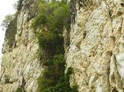 Poog Cliff: Jumpstart Love Rock Climbing