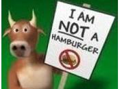 Coal Company Great Barrier Reef