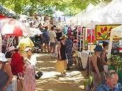 Markets Across Sunshine Coast