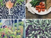 Instagram Lately: It’s Summer!